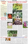 HPT-06032025--4-page-002